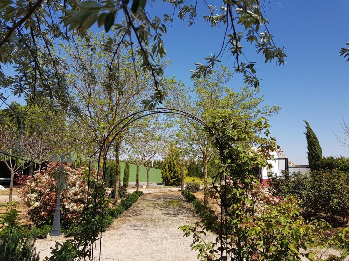 Casa Rural El Palomar Villa Pedro Munoz ภายนอก รูปภาพ