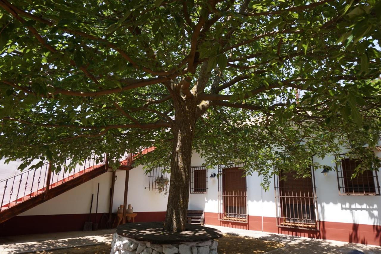 Casa Rural El Palomar Villa Pedro Munoz ภายนอก รูปภาพ