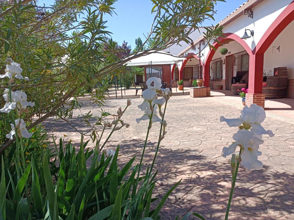 Casa Rural El Palomar Villa Pedro Munoz ภายนอก รูปภาพ
